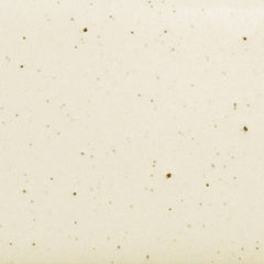Daltile Natural Hues  4" x 4" Matte Freckles