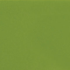 Daltile Color Complements 4" X 16" Matte Matte Fern