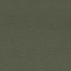 Daltile Stare Apothesis 10" X 30" Matte Forest