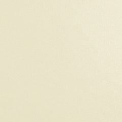 Daltile Natural Hues  4" x 4" Matte Ivory