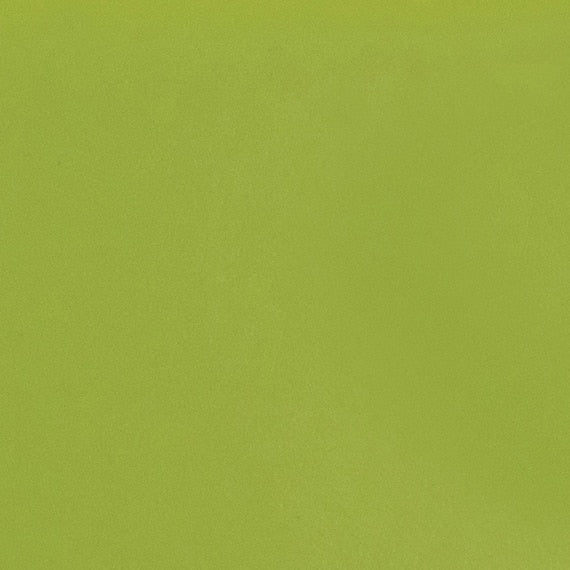 Daltile ColorMatch 2'' x 4" Brick Mosaic 12'' x 12'' Matte Matte Kiwi