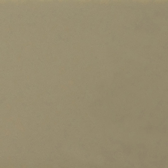 Daltile Natural Hues  4" x 4" Matte Birch