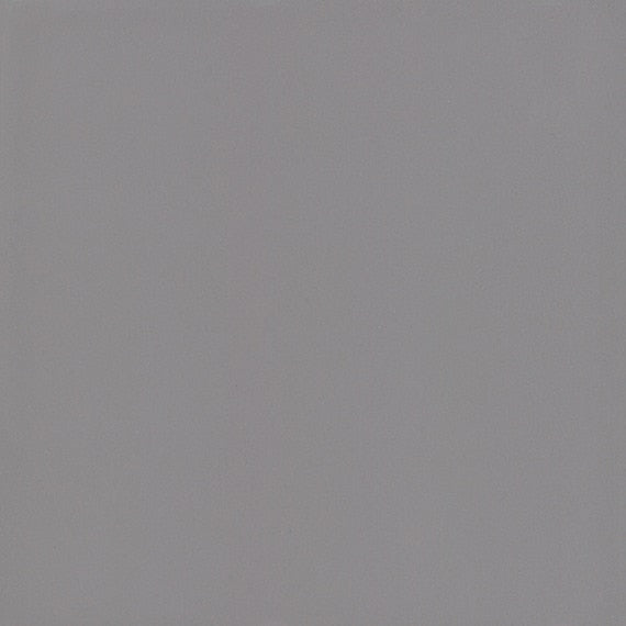 American Olean Color Story 12" X 24" Floor Tile Storm Gray