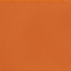 Daltile Color Complements 8" X 24" Matte Matte Mango