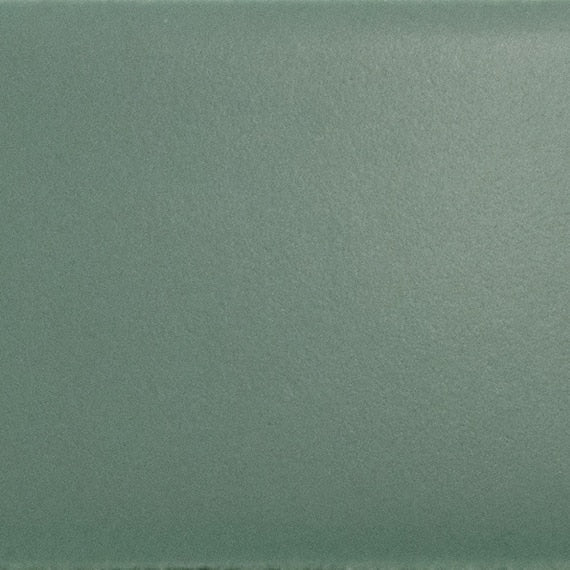 Daltile Colormatch 2" X 8" Matte Matte Ireland