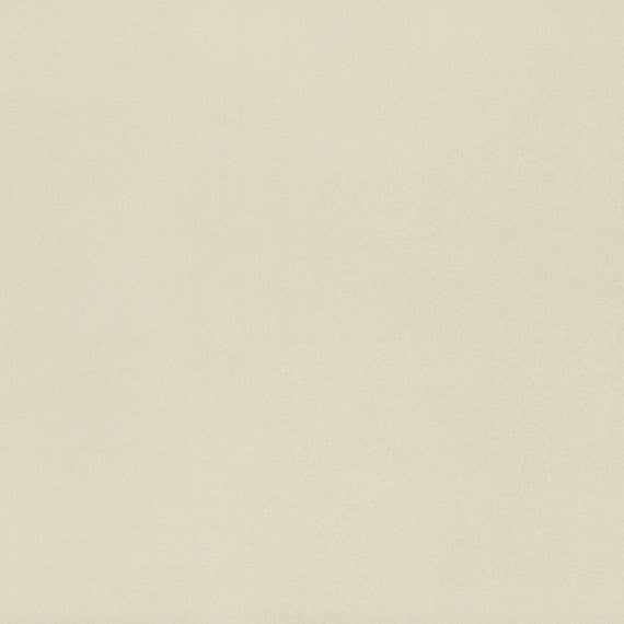 American Olean Neoconcrete 24" X 24" Matte White