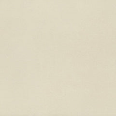 American Olean Neoconcrete 24" X 24" Matte White
