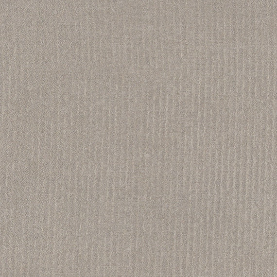 Daltile Prime 12" X 12" Square Matte Grey