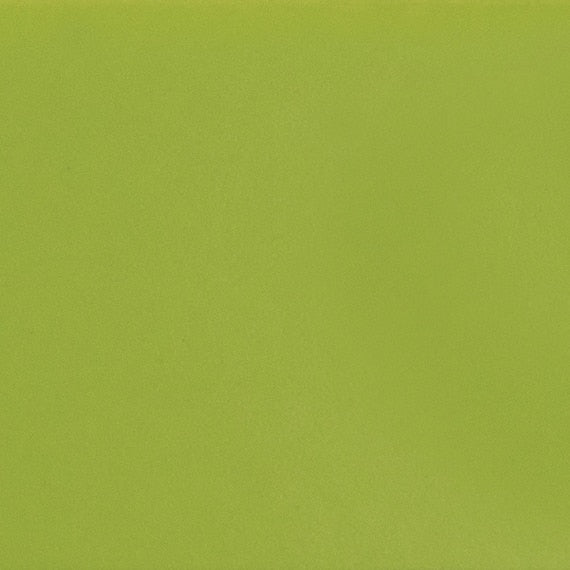 Daltile Colormatch 12" X 24" Matte Matte Kiwi
