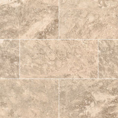 MS International Natural Stone Marble 12" x 24" Polished Crema Cappuccino