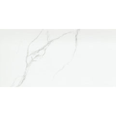 Emser Duchessa 12" x 24" POLISHED Silver
