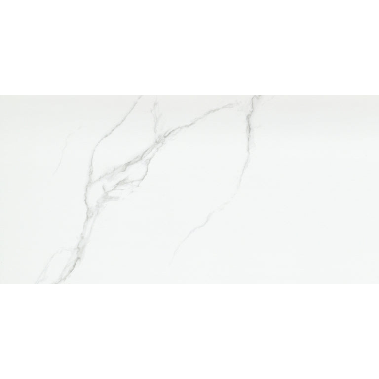 Emser Duchessa 12" x 24" Matte Silver