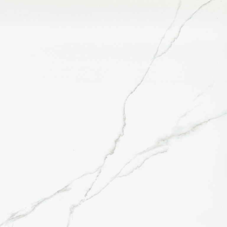 Emser Duchessa 24" x 24" Matte Silver
