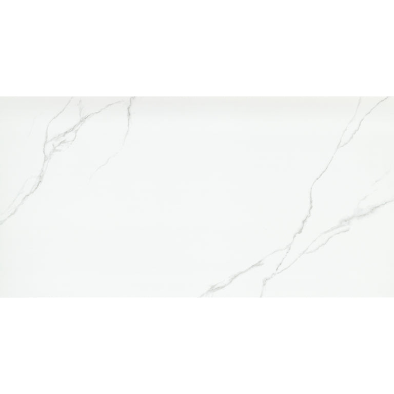 Emser Duchessa 24" x 47" Matte Silver