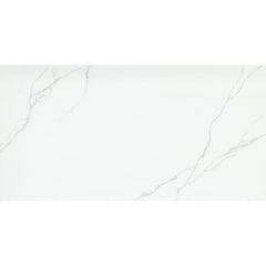 Emser Duchessa 24" x 47" Matte Silver