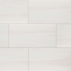 MS International Eden 12" x 24" Polished Dolomite