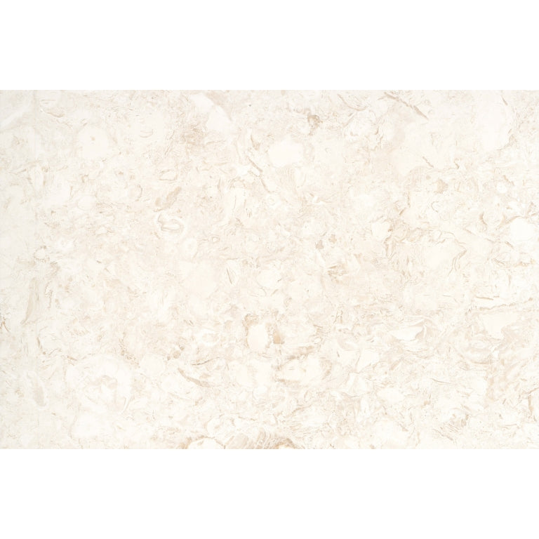 Emser Extero 16" x 24" Shell Cop
