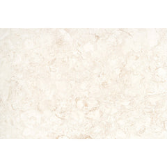 Emser Extero 16" x 24" Shell Cop