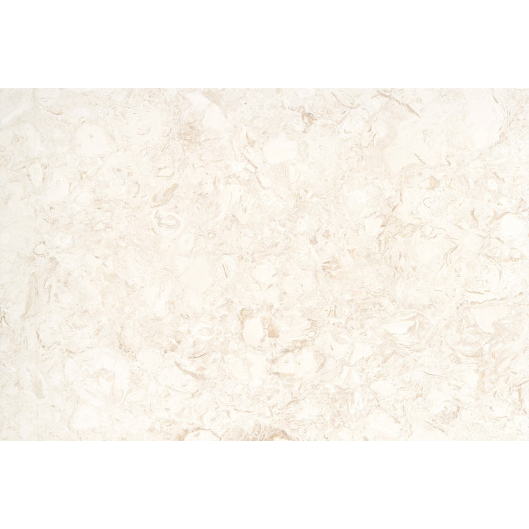 Emser Extero 16" x 24" Shell