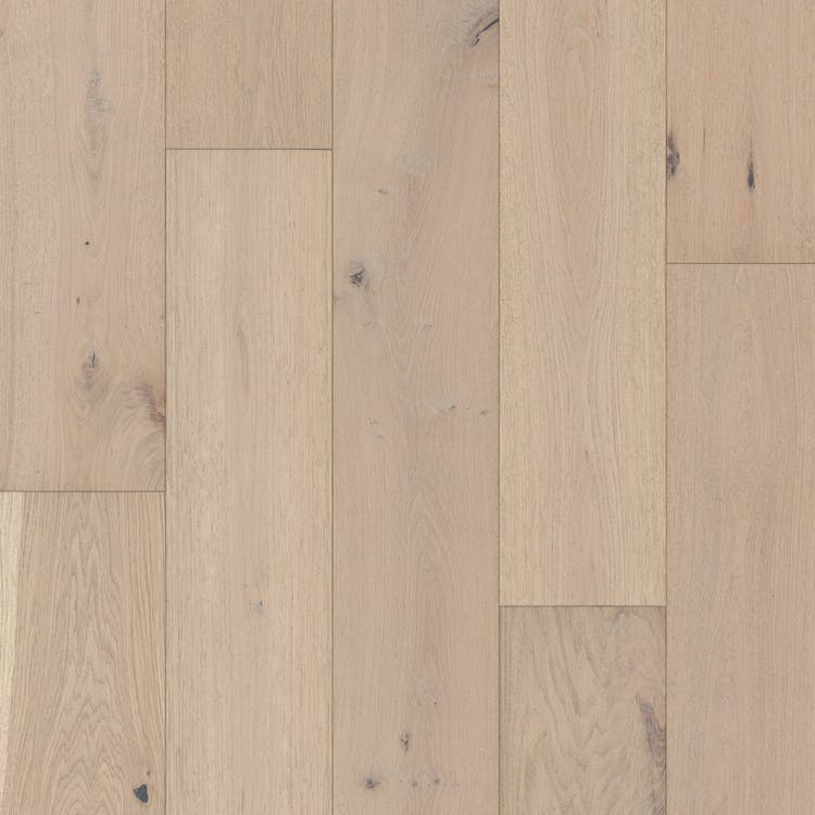 Mannington Monagram 8.6" X RL Crema
