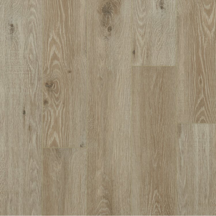 Mannington Realta 7.1" X 48" Chiffon