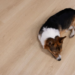 Cali Floors Santa Cruz 9" x 72" Rockaway Oak