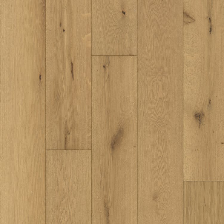 Mannington Monagram 8.6" X RL Latte