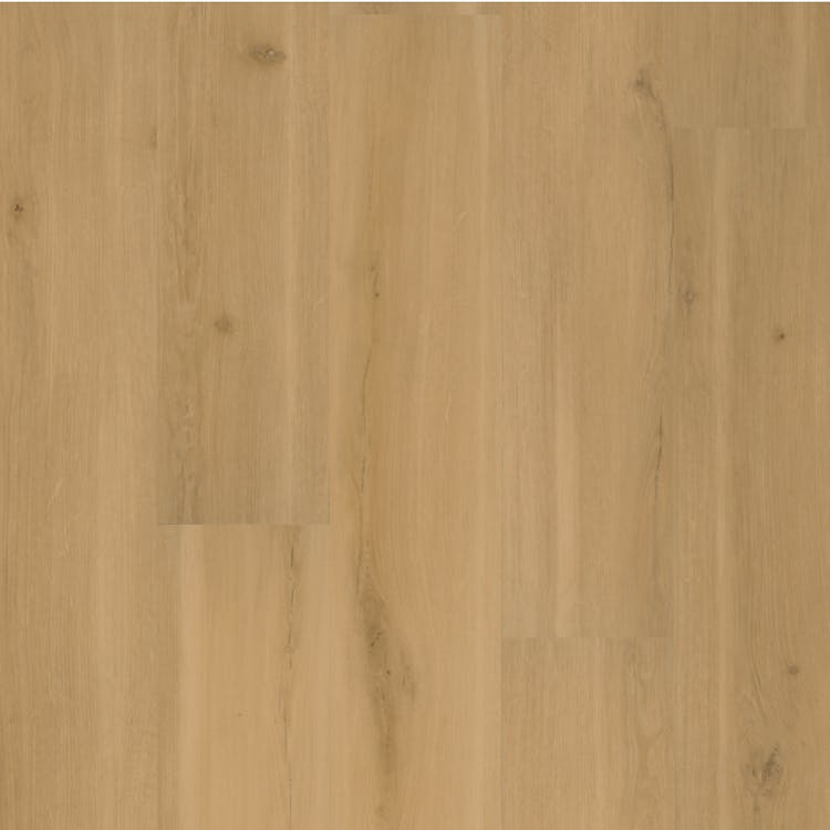 Mannington Adura MaxUS 7" X 48" Praline