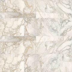 Emser Calacata 12" x 24" Honed Giallo