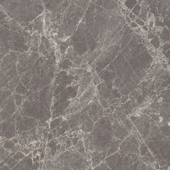 Emser Emperador 9" x 9" POLISHED Gray 