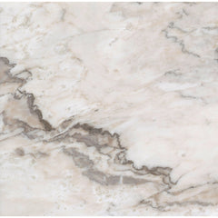 Emser Lenza 24" x 24" Honed Fiore 