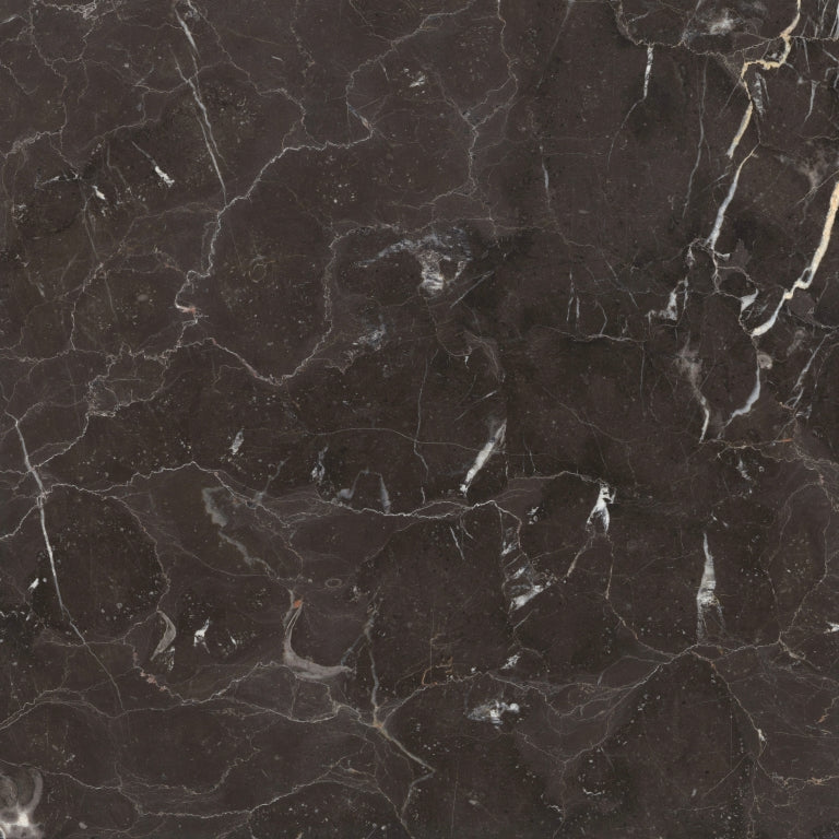 Emser St. Croix 18" x 18" Polished Brown 