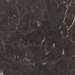 Emser St. Croix 18" x 18" Polished Brown 