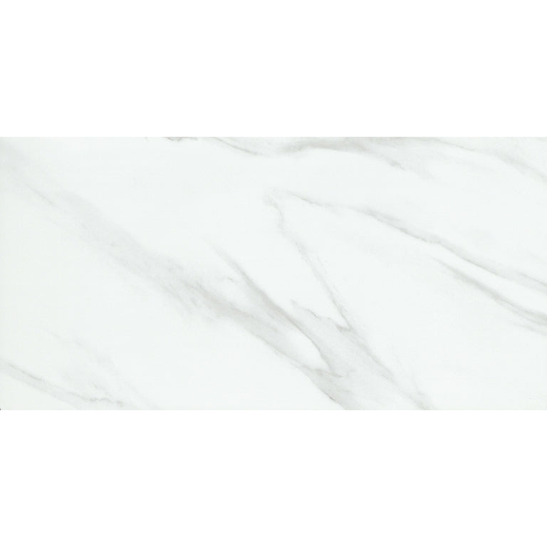 Emser Nobleza 24" x 47" POLISHED Astorga