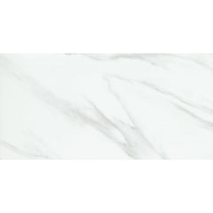 Emser Nobleza 24" x 47" POLISHED Astorga