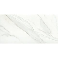 Emser Nobleza 24" x 47" Matte Lugo