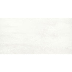 Emser Prodigy 24" x 47" Matte Agnesi