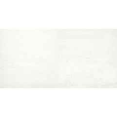 Emser Prodigy 24" x 47" Polished Agnesi