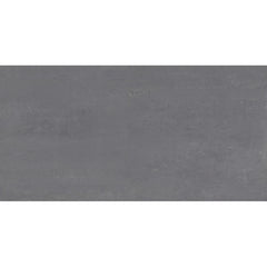 Emser Prodigy 24" x 47" Matte Mill