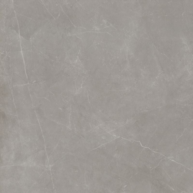 Emser Sterline 24" x 24"  Polished Dove 