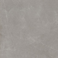 Emser Sterline 24" x 24"  Polished Dove 