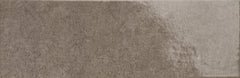 Emser Pagoni 4"x13" Polished Dark