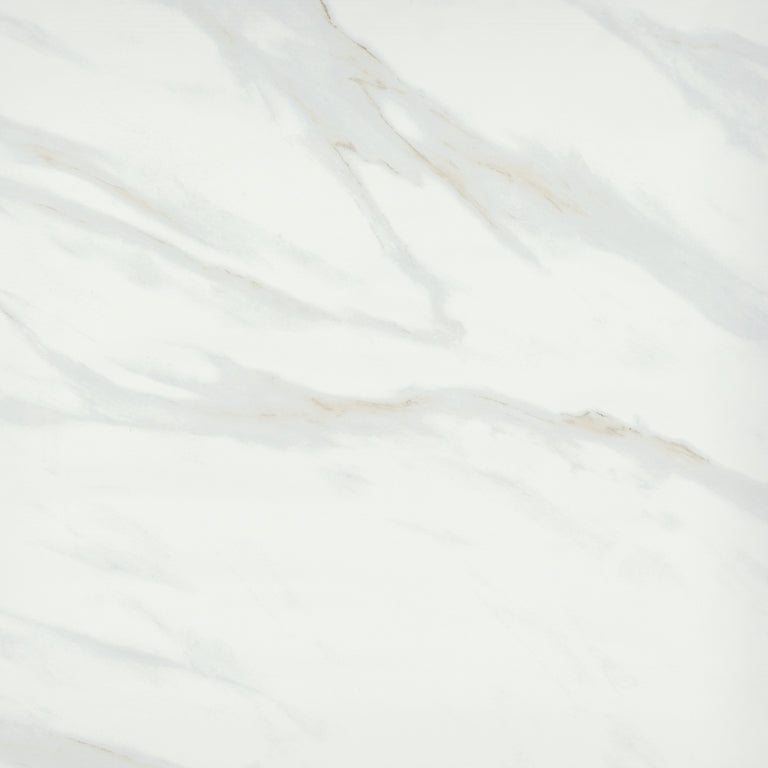 Emser Vara 24" x 24" Polished Ribia