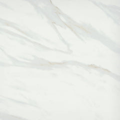 Emser Vara 24" x 24" Polished Ribia